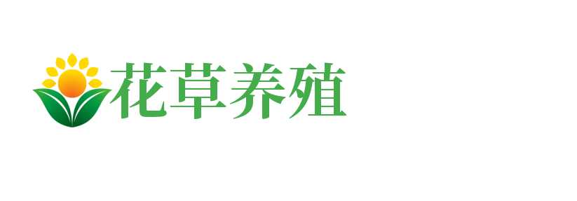 吉林省延边朝鲜族自治州龙井市率训瓷砖美缝有限责任公司